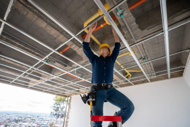 Best Local Plumber Services  in Cowan, TN