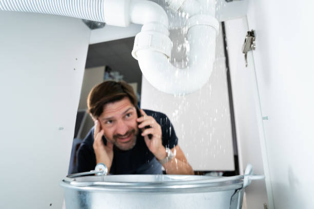 Best Septic Systems  in Cowan, TN